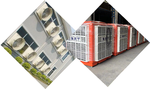 四大優勢鑄就佳天下品質產品 四大優勢鑄就佳天下品質產品